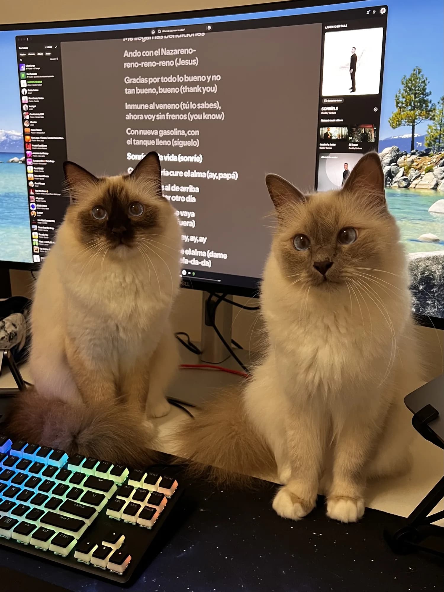 Haru and Ren in front of the monitor